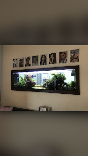 Wójcik Dental Clinic - Wójcik Dental Clinic