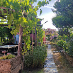 Photo n°10 de l'avis de Cosetta.i fait le 07/08/2021 à 12:18 sur le  La Vigna à Procida