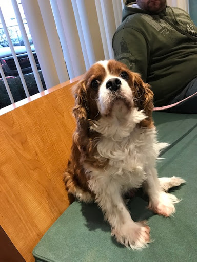 2233 Broadhollow Rd, Farmingdale, NY 11735, USA