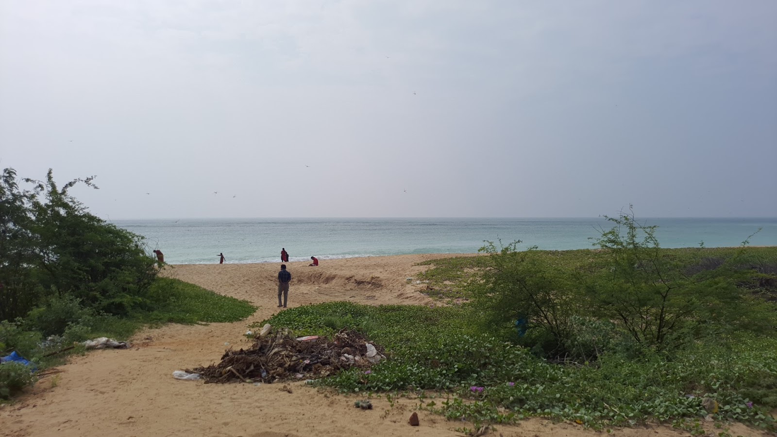 Fotografija Chettikulam Beach divje območje