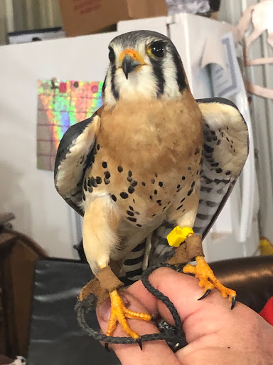 Northside Feed & Farm Supply