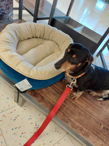 Pet Supply Store «Petco Animal Supplies», reviews and photos, 313 Homer M Adams Pkwy, Alton, IL 62002, USA