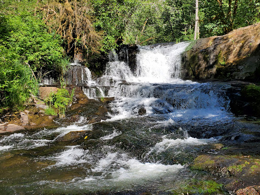 Alsea Falls Recreational Site