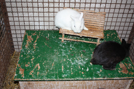 Der Zoo- u. Angelcenter unter Oelsnitz, 