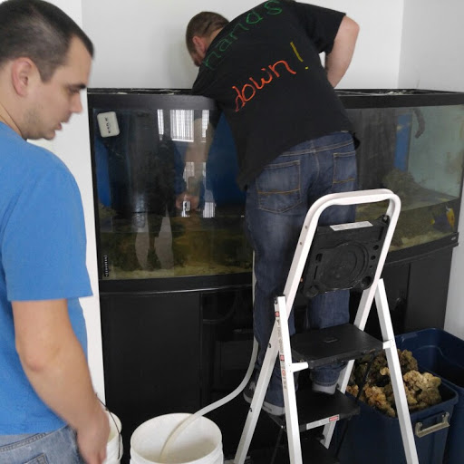 Pet Store «Fish Geeks», reviews and photos, 5845 Hillside Ln, Mechanicsburg, PA 17050, USA