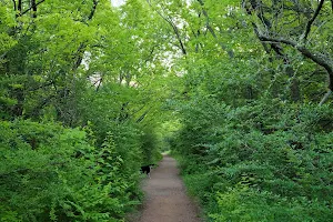 Sutton Wilderness Trail Park image