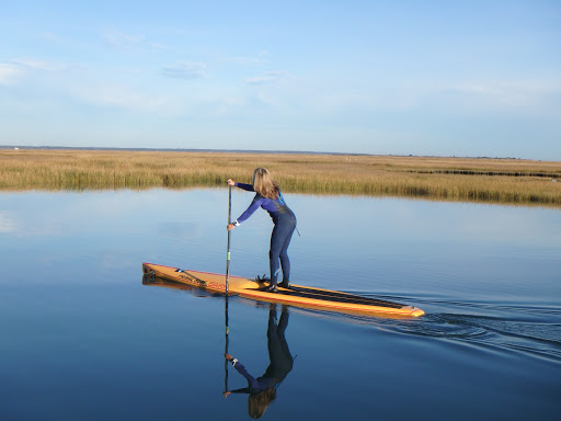 Surf Shop «Primal Surf», reviews and photos, 3106 Revere Blvd, Brigantine, NJ 08203, USA