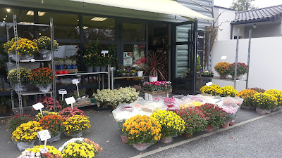 Flore et Nature à Cholet