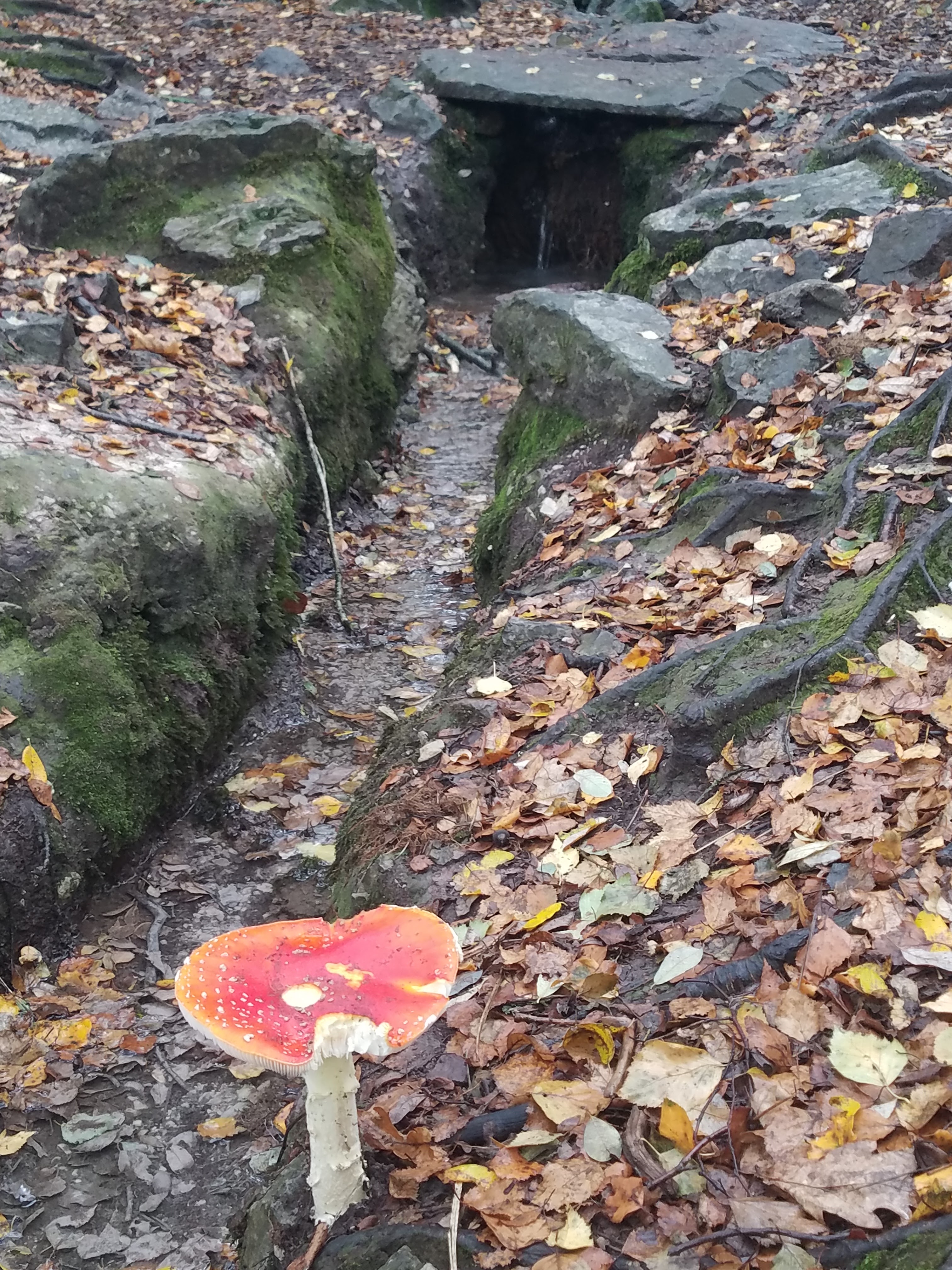 Photo n° 1 de l'avis de Roro.a fait le 26/10/2019 à 10:45