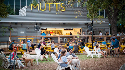 MUTTS Canine Cantina Dallas