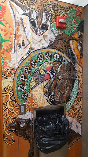 Coffee Shop «Intelligentsia Coffee Wicker Park Coffeebar», reviews and photos, 1609 W Division St, Chicago, IL 60622, USA