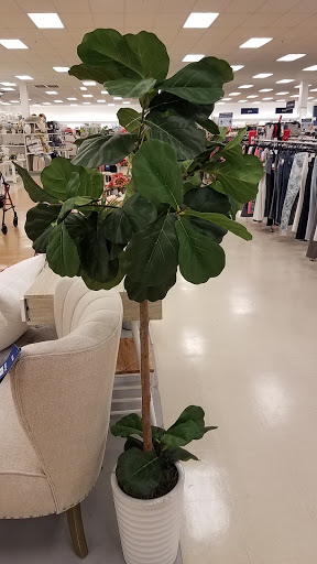 Department Store «Marshalls», reviews and photos, 10759 San Pablo Ave, El Cerrito, CA 94530, USA