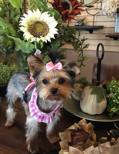 Gift Shop «The Warehouse Gift Shops», reviews and photos, 60 Chestnut St, Lockport, NY 14094, USA