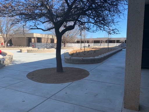 Girls' high school Amarillo