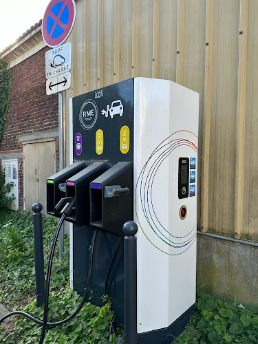 Borne de recharge de véhicules électriques Freshmile Charging Station Loos