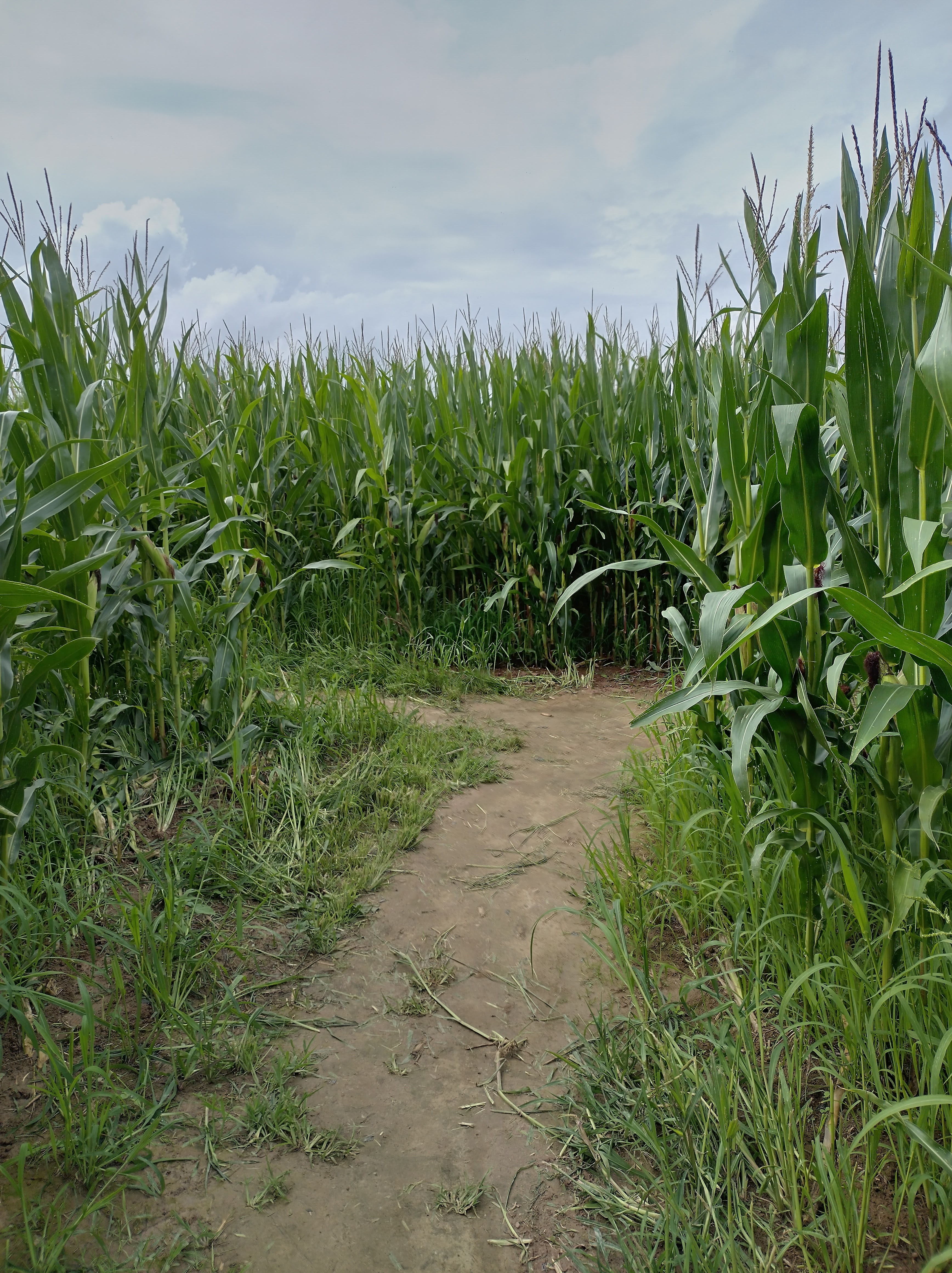 Photo n° 2 de l'avis de Jean.l fait le 18/08/2023 à 19:54