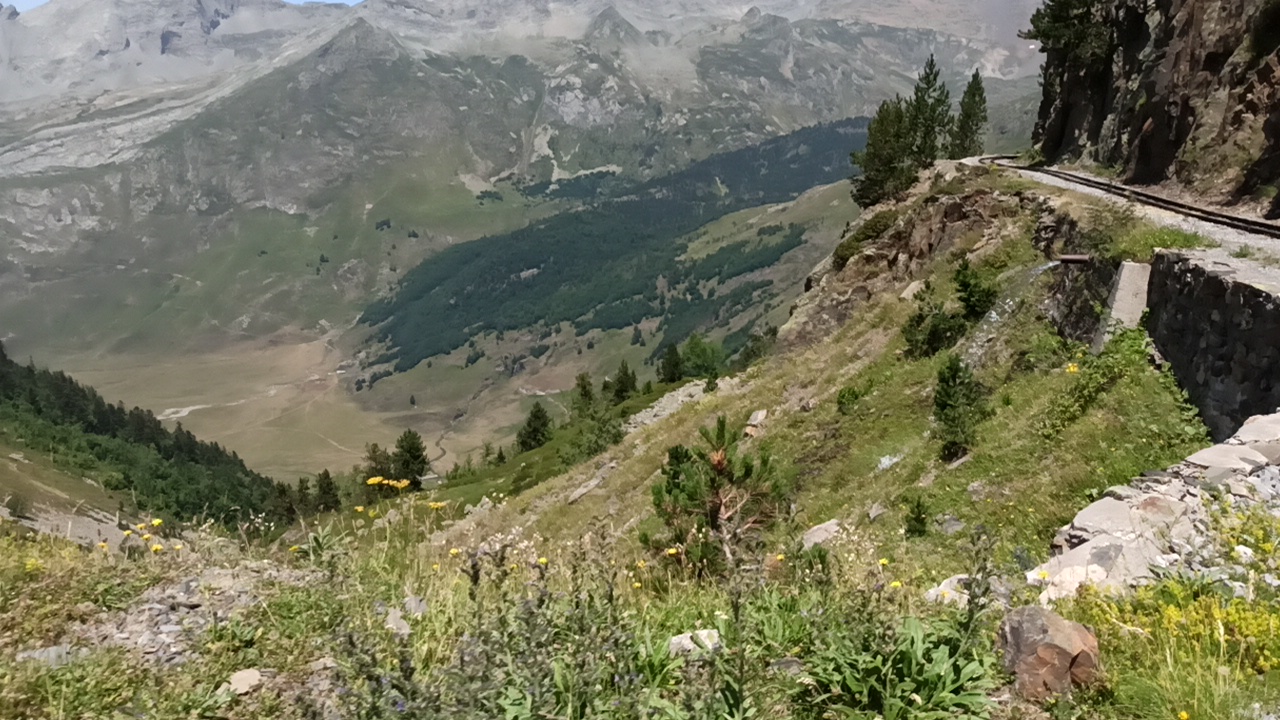 Photo n° 35 de l'avis de Georges.N fait le 27/07/2022 à 16:57