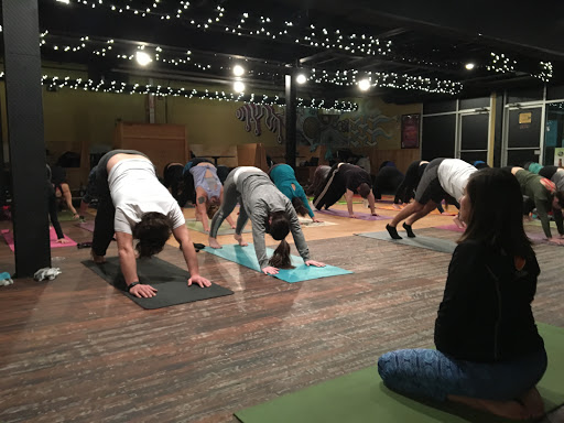 Yoga Studio «Down Dog Yoga Center», reviews and photos, 316 S Kalamazoo Mall #108, Kalamazoo, MI 49007, USA