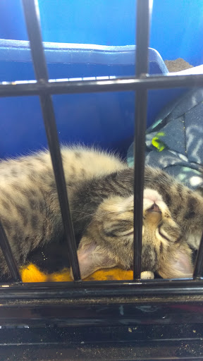 Pet Store «Pet Valu», reviews and photos, 2231 Old Bridge Rd, Lake Ridge, VA 22192, USA