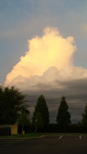 Hair Salon «Great Clips», reviews and photos, 7928 Gall Blvd, Zephyrhills, FL 33541, USA