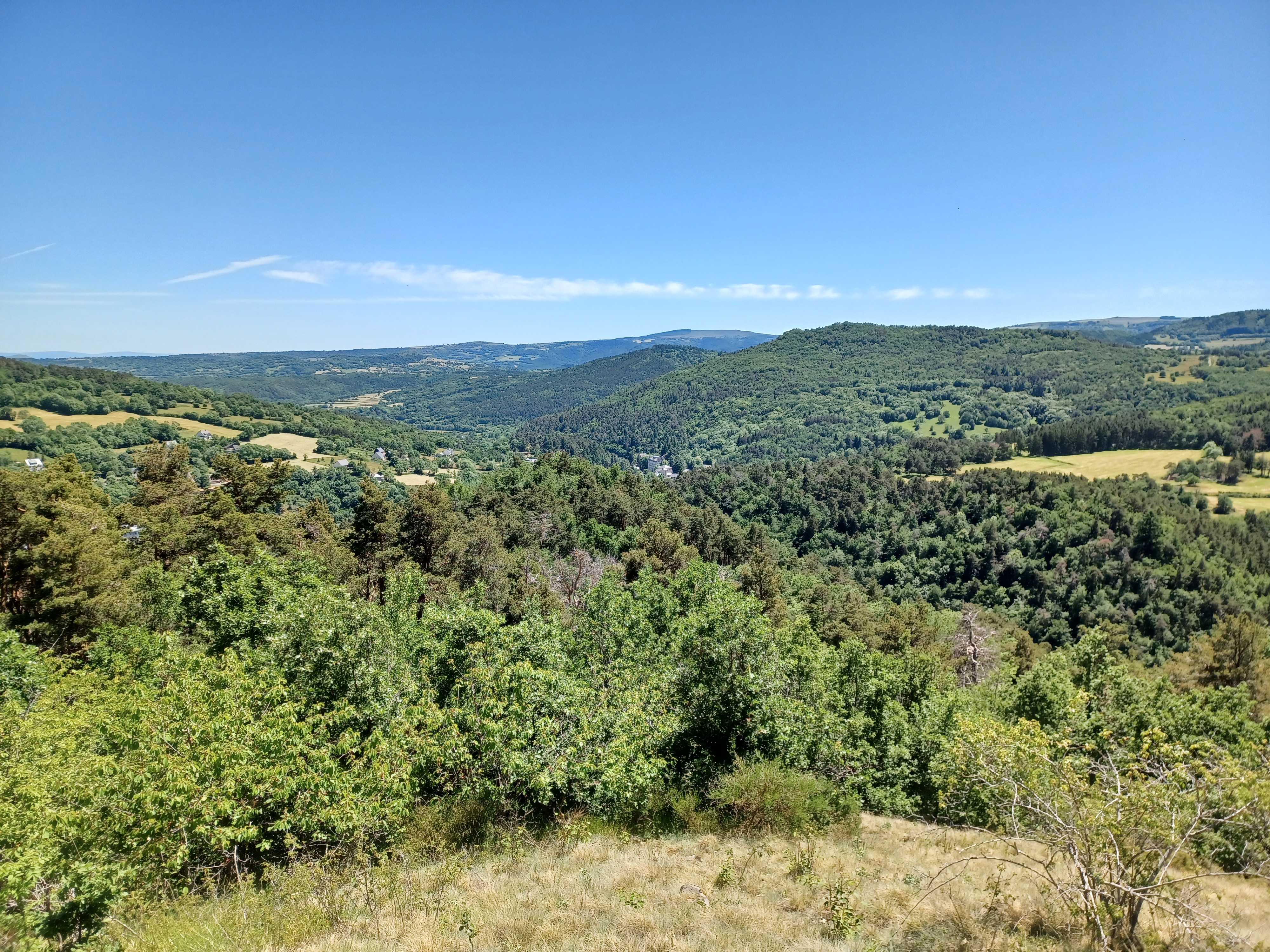 Photo n° 4 de l'avis de Taillade.e fait le 21/06/2022 à 12:28