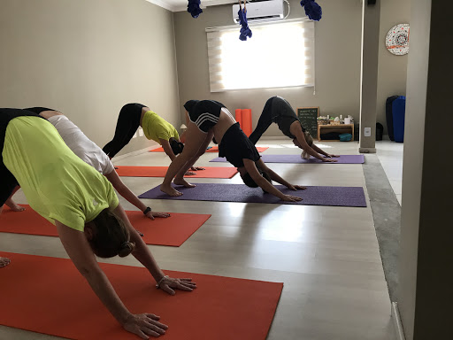 Studio Hatha Yoga