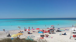 Rosignano Solvay spiaggia bianche'in fotoğrafı çok temiz temizlik seviyesi ile
