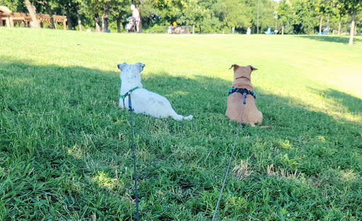 Park «River Legacy Parks», reviews and photos, 701 NE Green Oaks Blvd, Arlington, TX 76006, USA