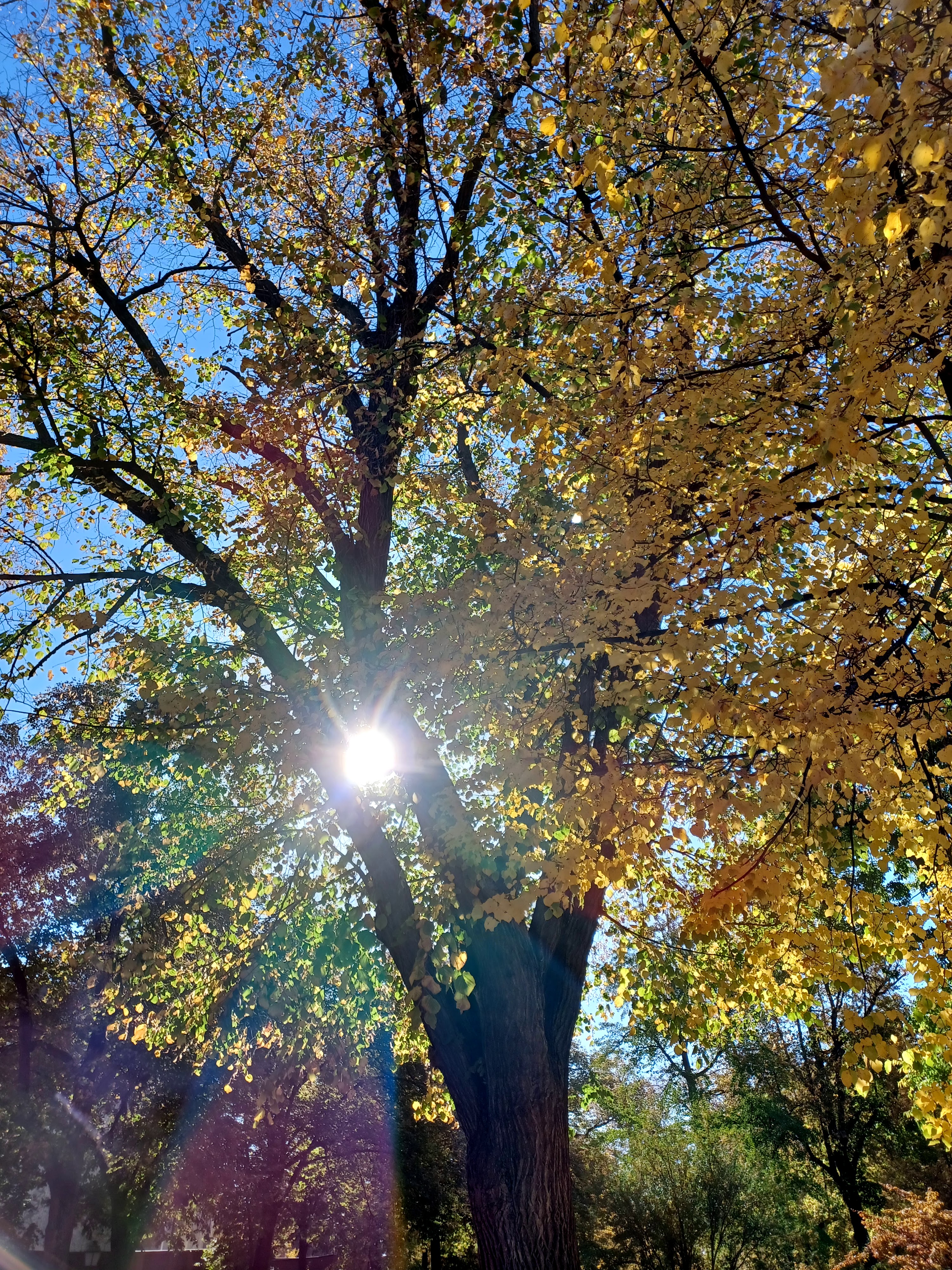 Photo n° 1 de l'avis de kieny.h fait le 10/10/2022 à 07:17