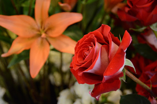 Florist «Carousel Flowers by Shamrock Garden Florist», reviews and photos, 527 S York St, Elmhurst, IL 60126, USA