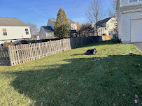 Kamils landscaping - Photo 4 - Car repair in , Joliet