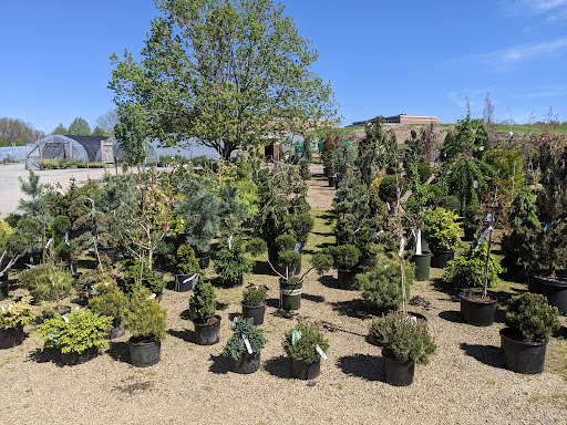 Garden Center «Quality Gardens», reviews and photos, 409 PA-228, Valencia, PA 16059, USA