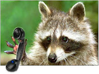 Ansleys Wildthings Wildlife Management Open 24/7 - Photo 3 - Car repair in , Fredericksburg