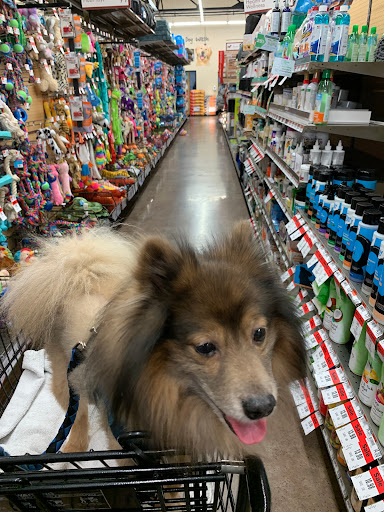 Pet Supply Store «Pet Supplies Plus», reviews and photos, 1704 Greenville Ave, Dallas, TX 75206, USA