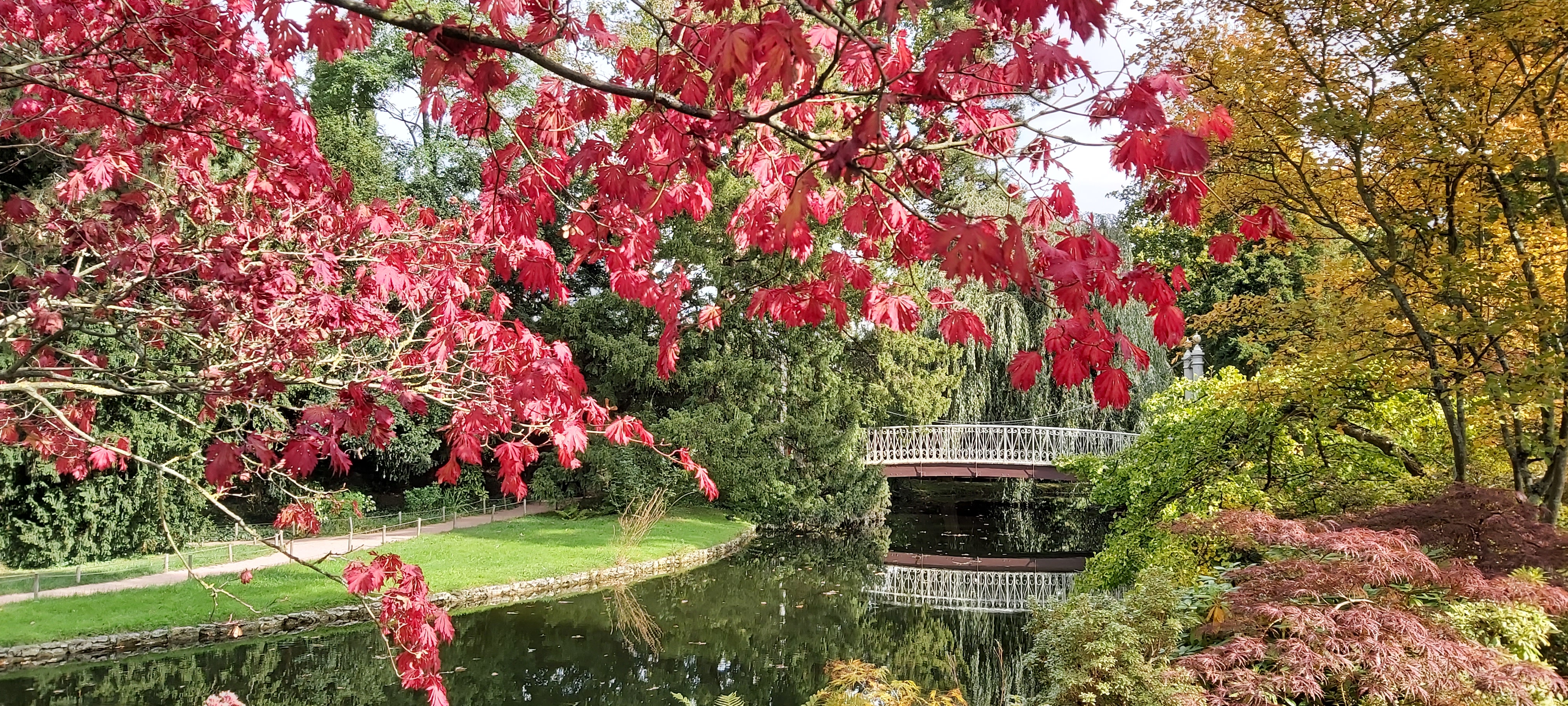 Photo n° 1 de l'avis de Marie-France.o fait le 17/10/2021 à 14:10