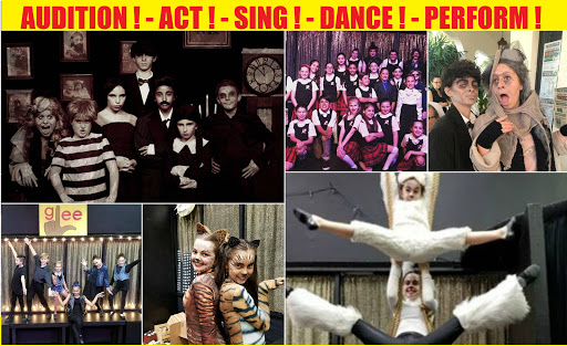 Performing Arts Theater «Showtime Performing Arts Theatre», reviews and photos, 503 SE Mizner Blvd, Boca Raton, FL 33432, USA