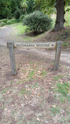 Rotokawau reserve