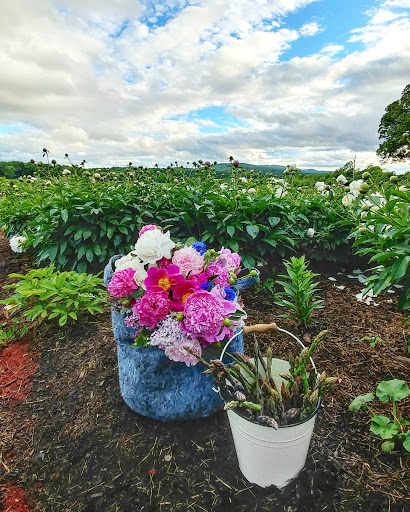 Garden Center «The Market at Grelen», reviews and photos, 15091 Yager Rd, Somerset, VA 22972, USA