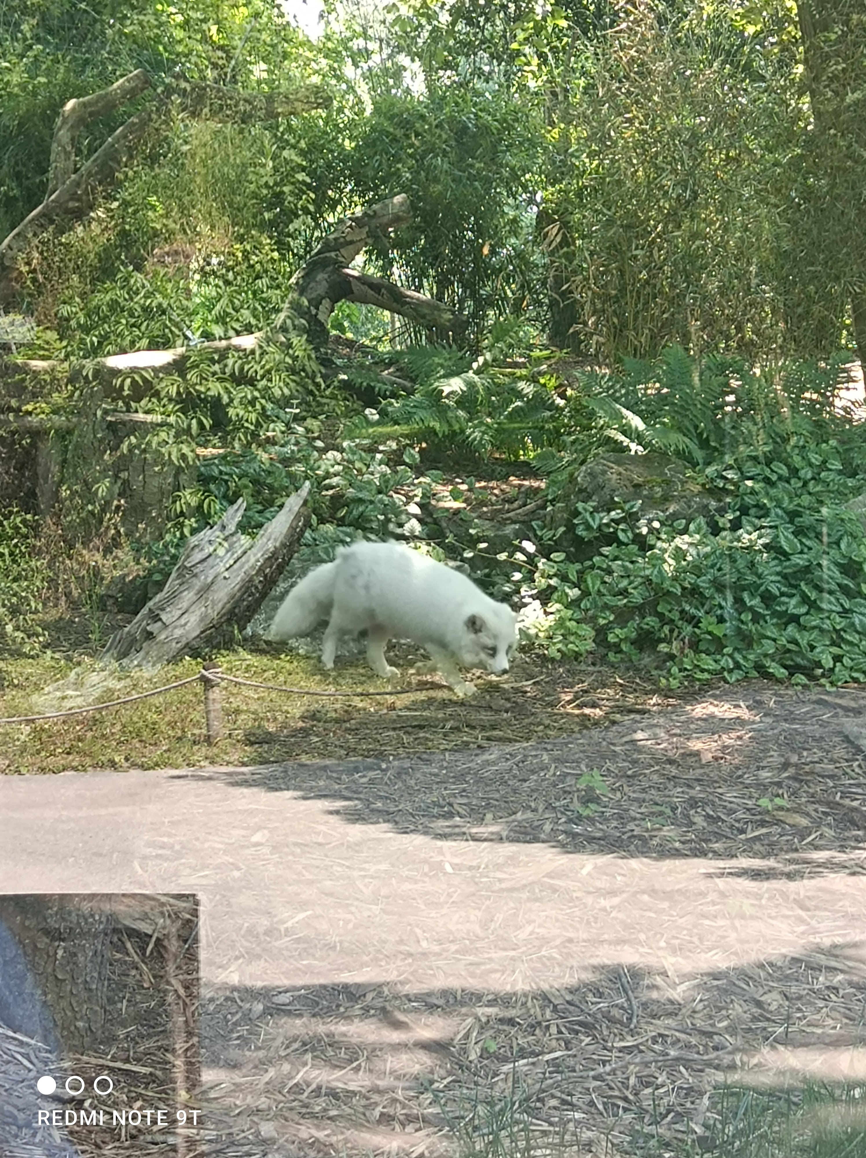 Photo n° 1 de l'avis de Guillaume.i fait le 23/06/2023 à 12:28