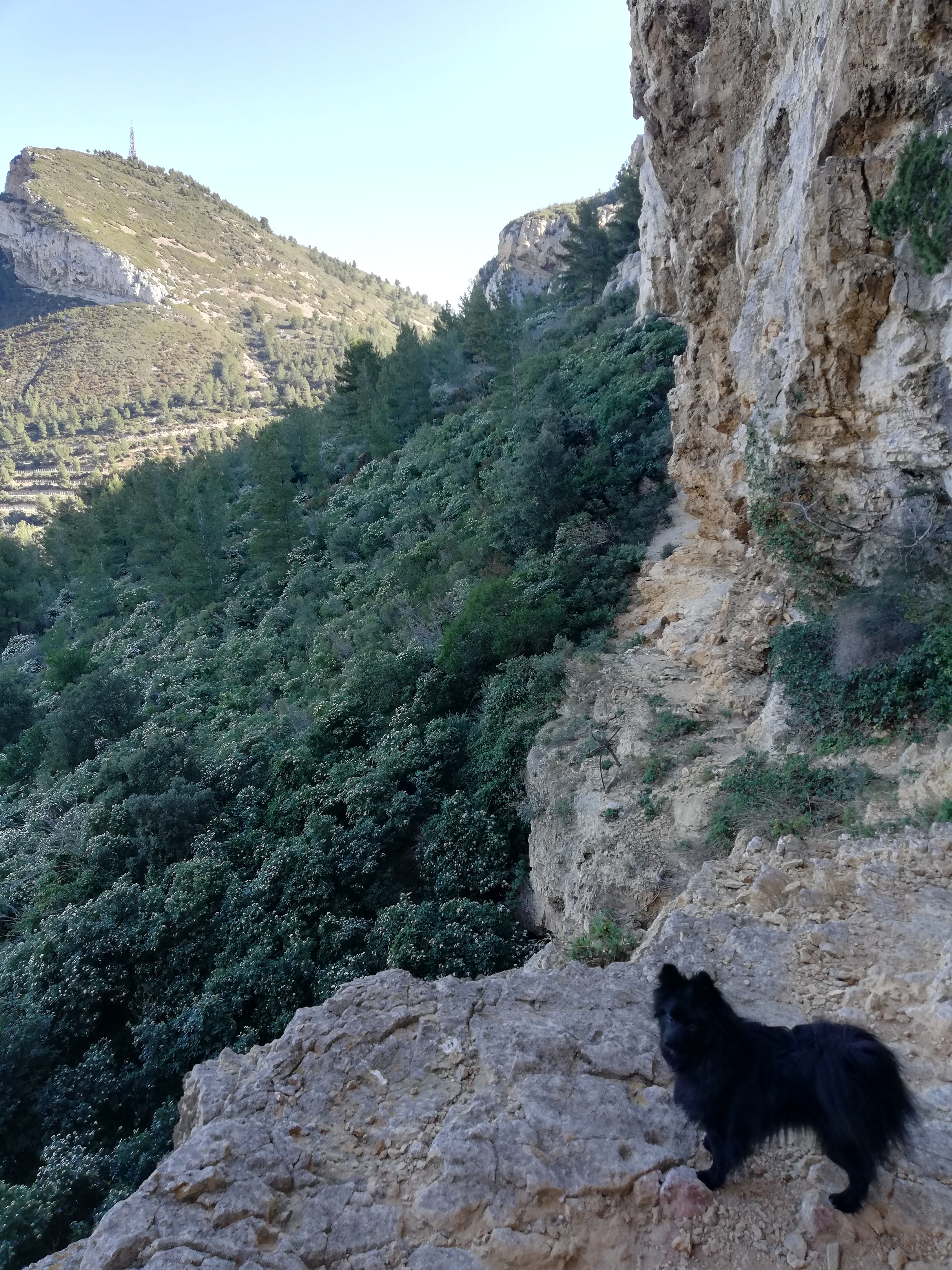 Photo n° 1 de l'avis de La.r fait le 11/04/2019 à 06:57