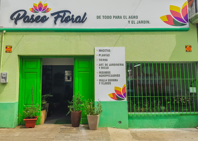 Paseo Floral
