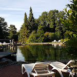 Photo n°1 de l'avis de jan.i fait le 30/07/2017 à 07:10 sur le  Veldensteiner Forst à Plech