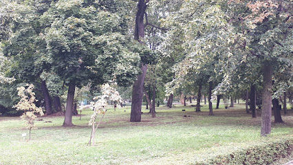 Debreceni Egyetem parkja