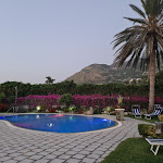 Photo n°1 de l'avis de Michaela.e fait le 29/06/2021 à 21:17 sur le  Hotel Ideal à Forio