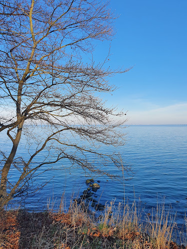 Teglværksskoven - Nyborg