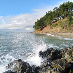 Zdjęcie Wild beach obszar udogodnień
