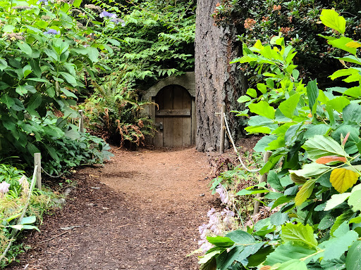 Park «Wilburton Hill Park», reviews and photos, 12400 Main St, Bellevue, WA 98005, USA