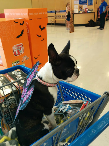 Pet Supply Store «PetSmart», reviews and photos, 6650 N Durango Dr, Las Vegas, NV 89149, USA