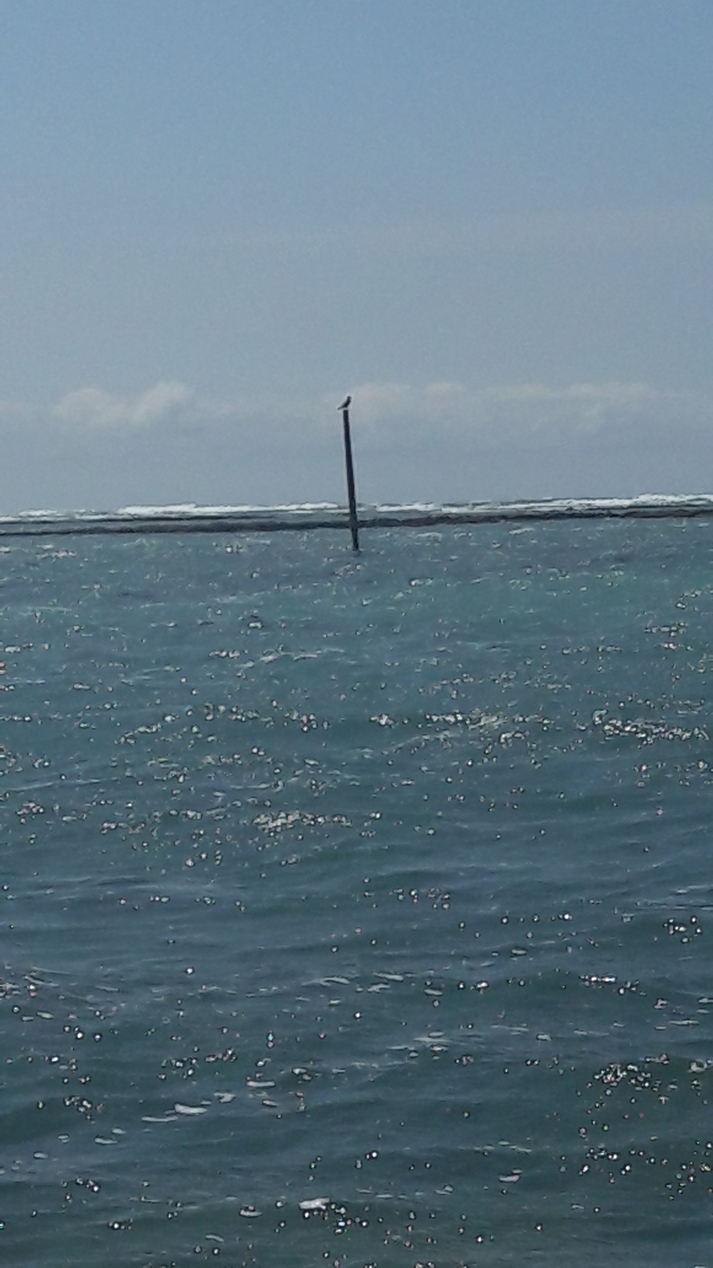Photo n° 2 de l'avis de Annemarie.A fait le 25/05/2019 à 15:23
