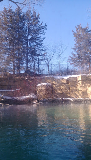 Zoo «Minnesota Zoo», reviews and photos, 13000 Zoo Blvd, Apple Valley, MN 55124, USA